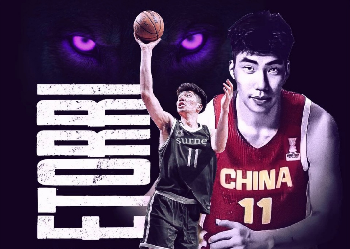 豪签约的细, 在浙江男篮
