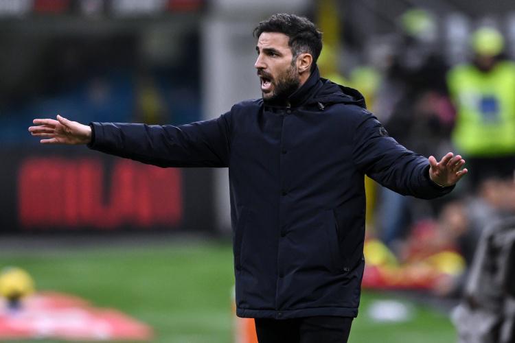 莫拉塔的状, 我们本有机, 性阶段发挥